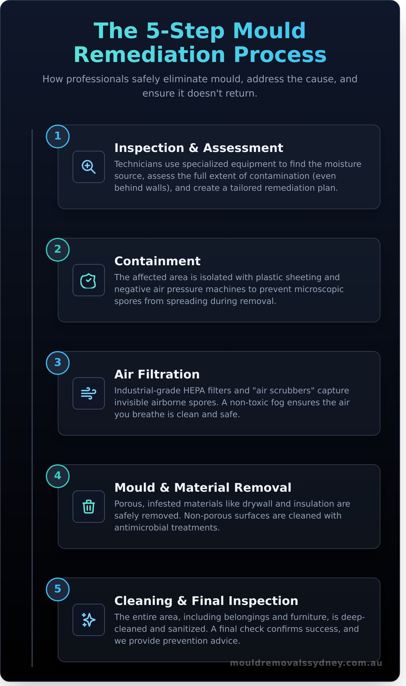 Mould Remediation: The Complete Professional Process Explained