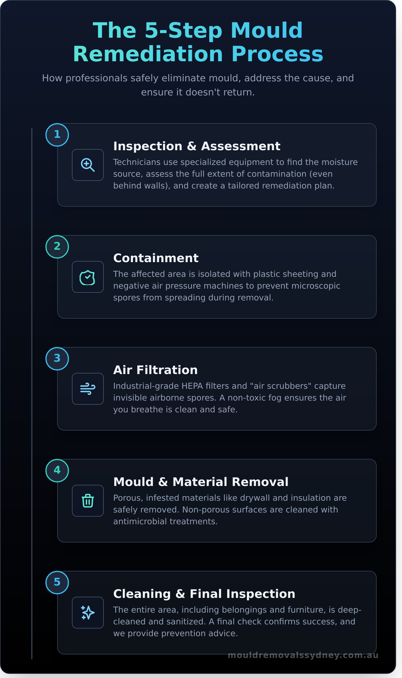 Mould Remediation: The Complete Professional Process Explained - Infographic