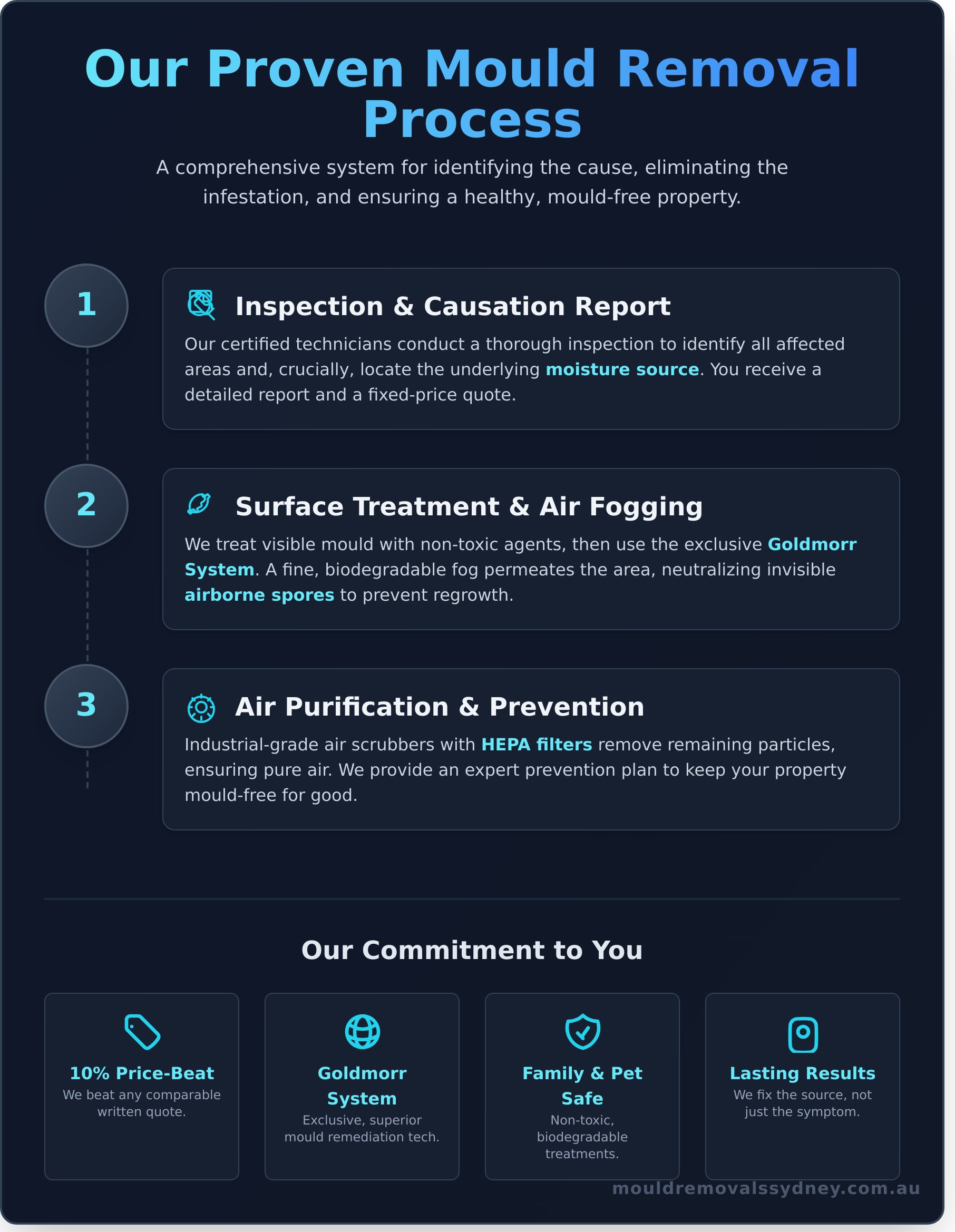 Sydney’s #1 Mould Removal Service: Safe, Fast & Guaranteed - Infographic