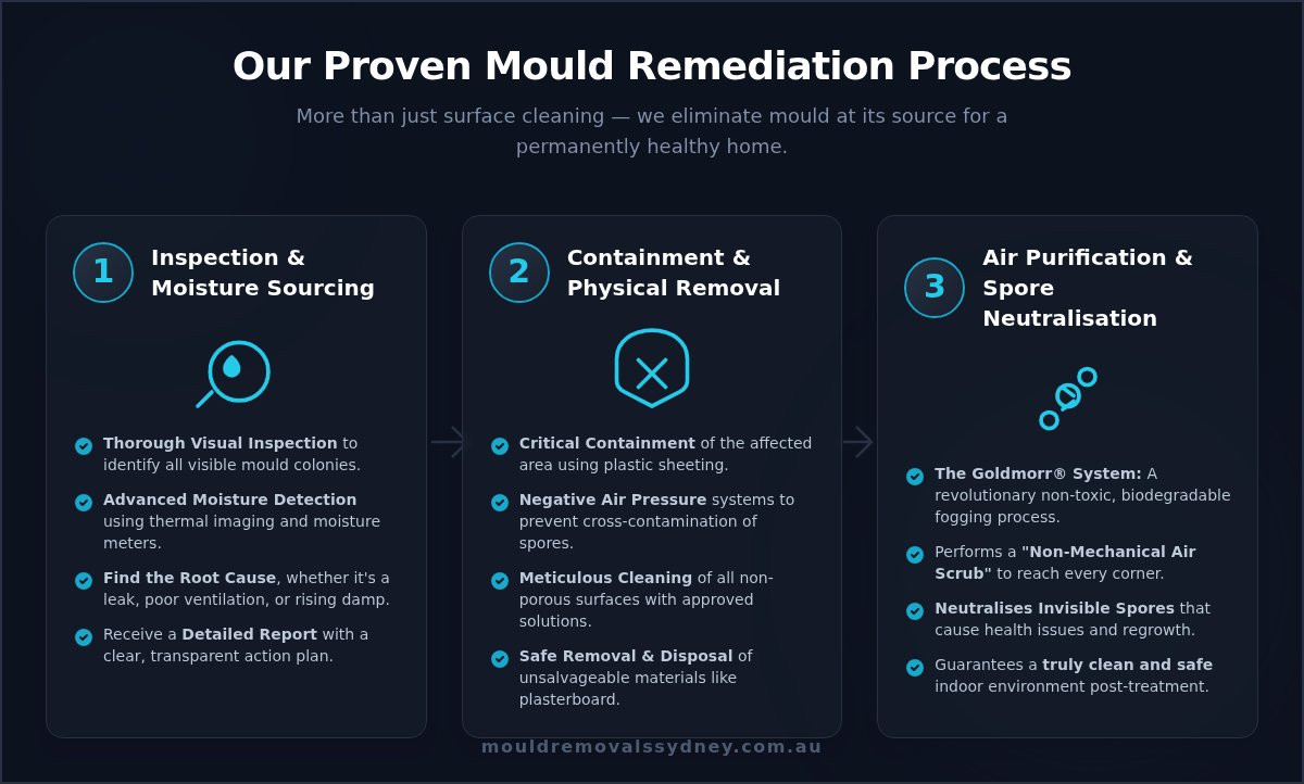 Mould Remediation Sydney: Your Guide to a Safe, Mould-Free Property