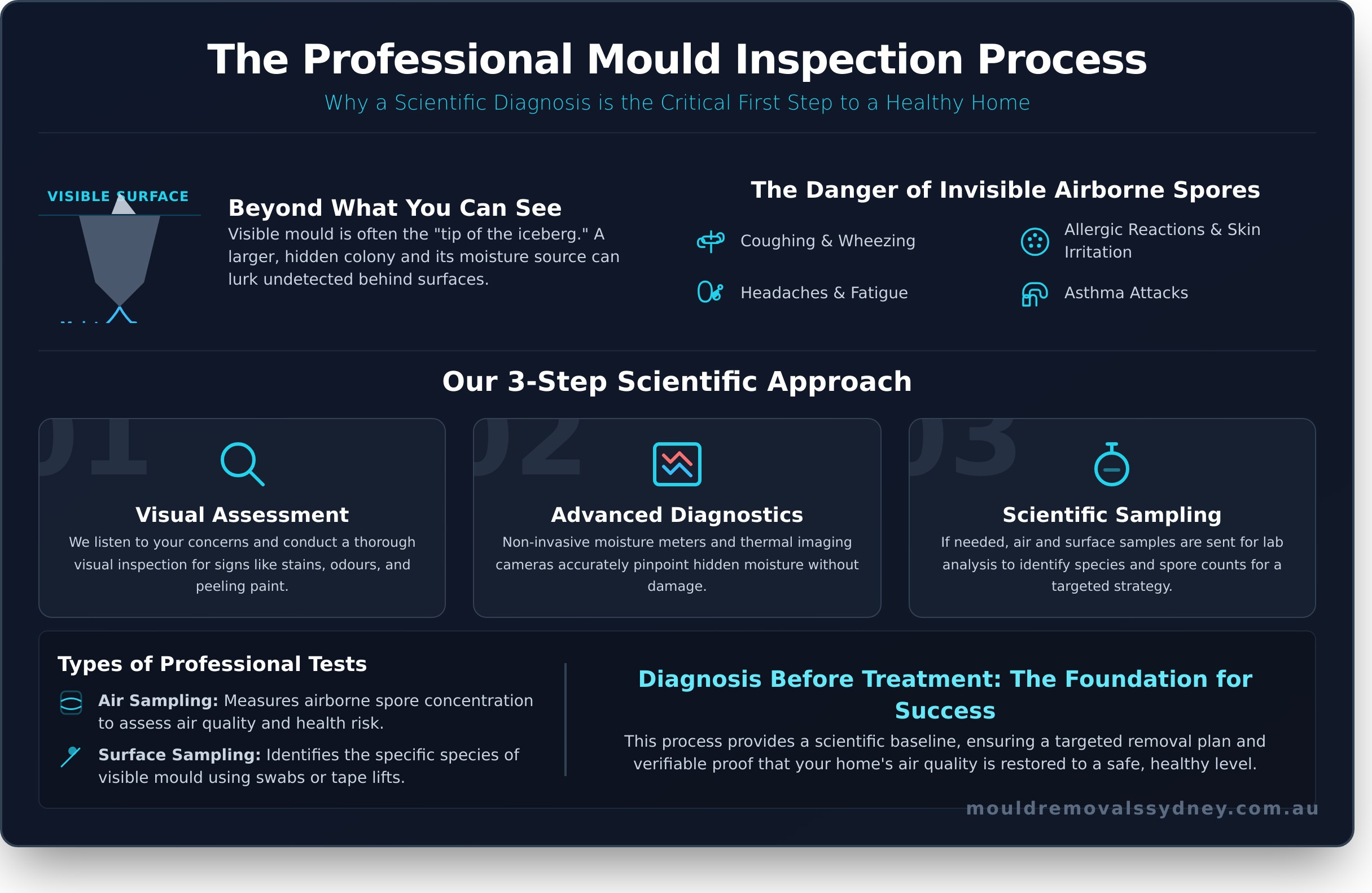 Mould Testing & Inspection: What to Expect Before Removal - Infographic