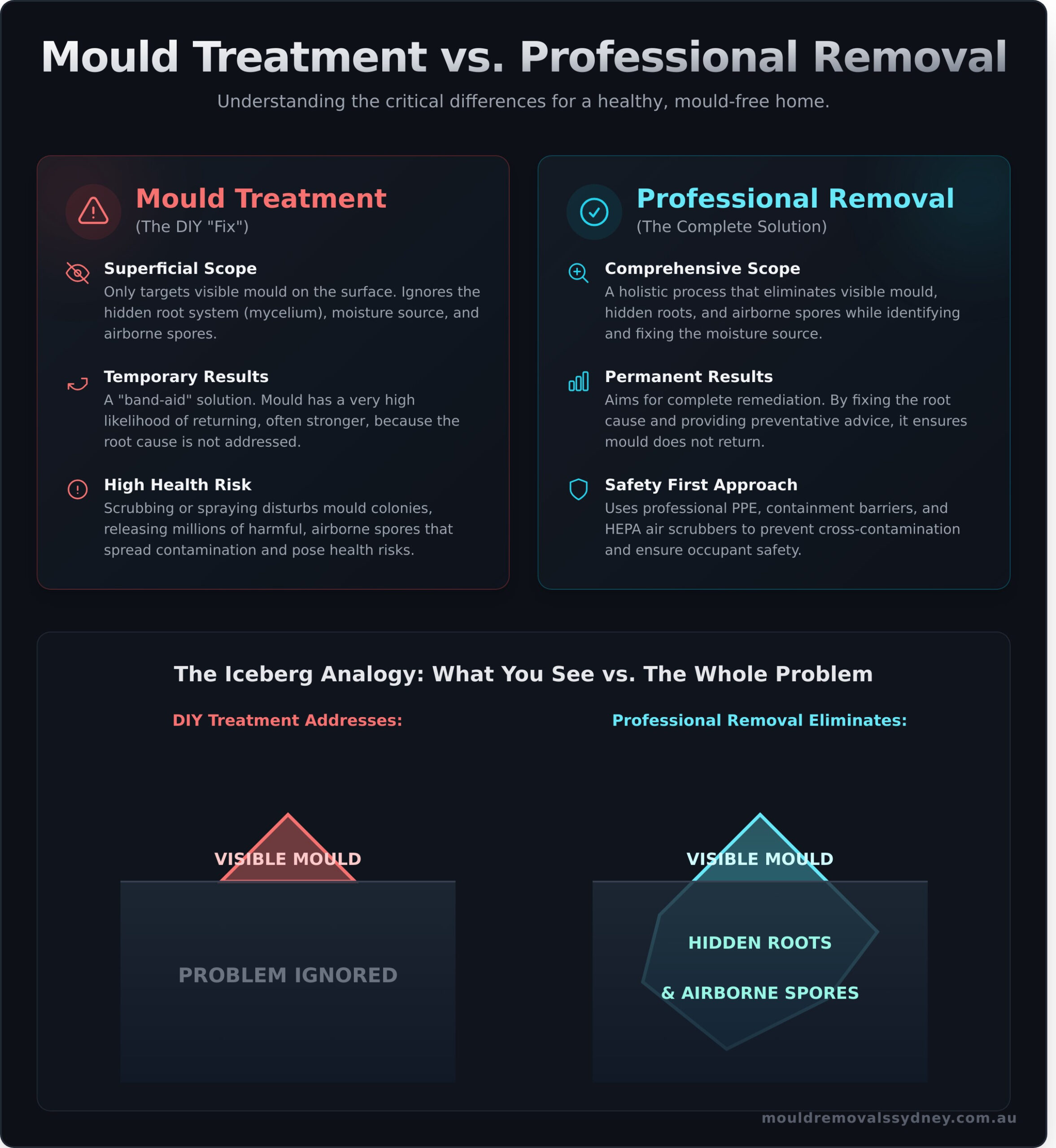 Mould Treatment vs. Mould Removal: What’s the Real Difference? - Infographic