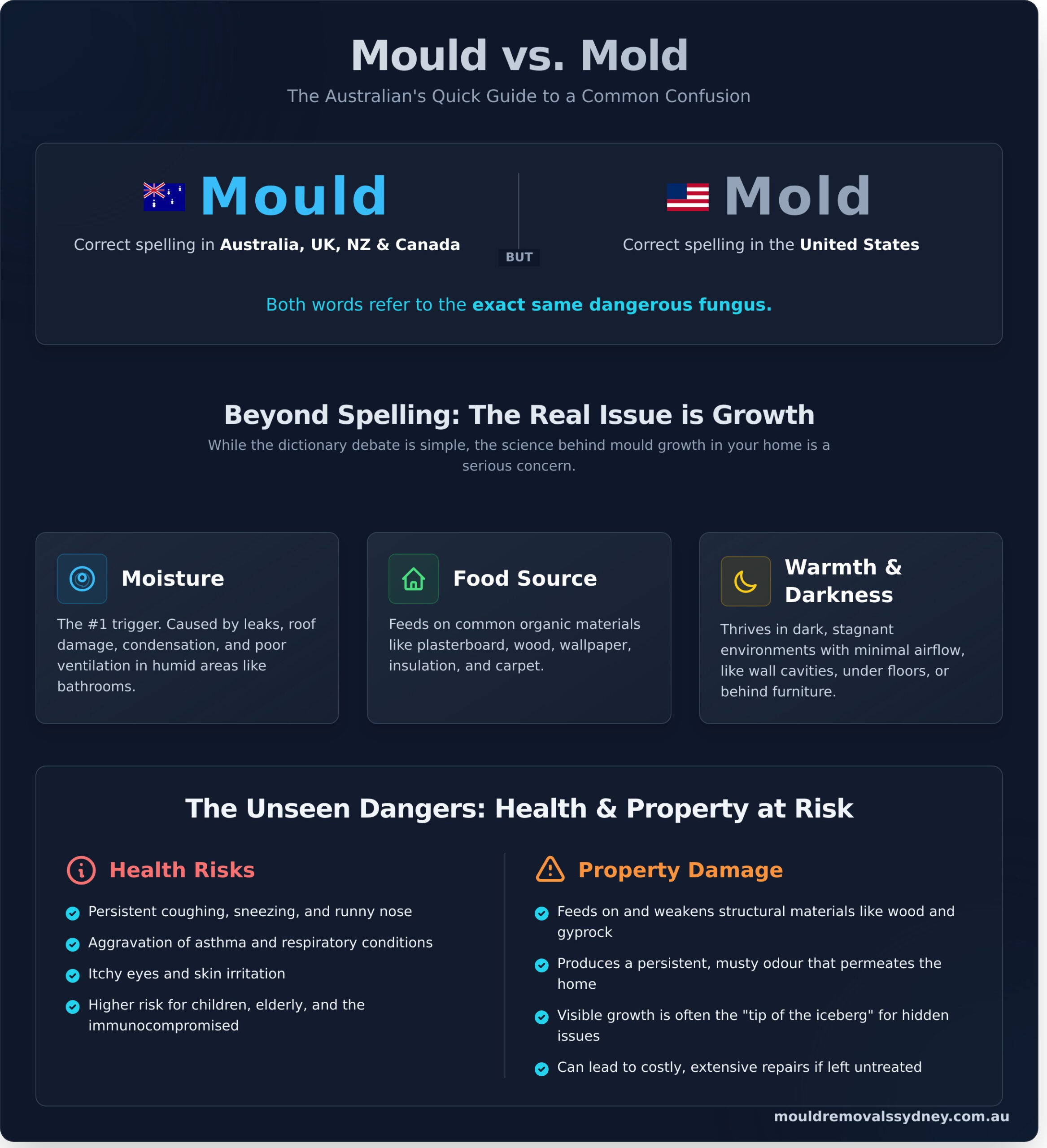 Mould or Mold? Which Spelling is Correct in Australia? - Infographic