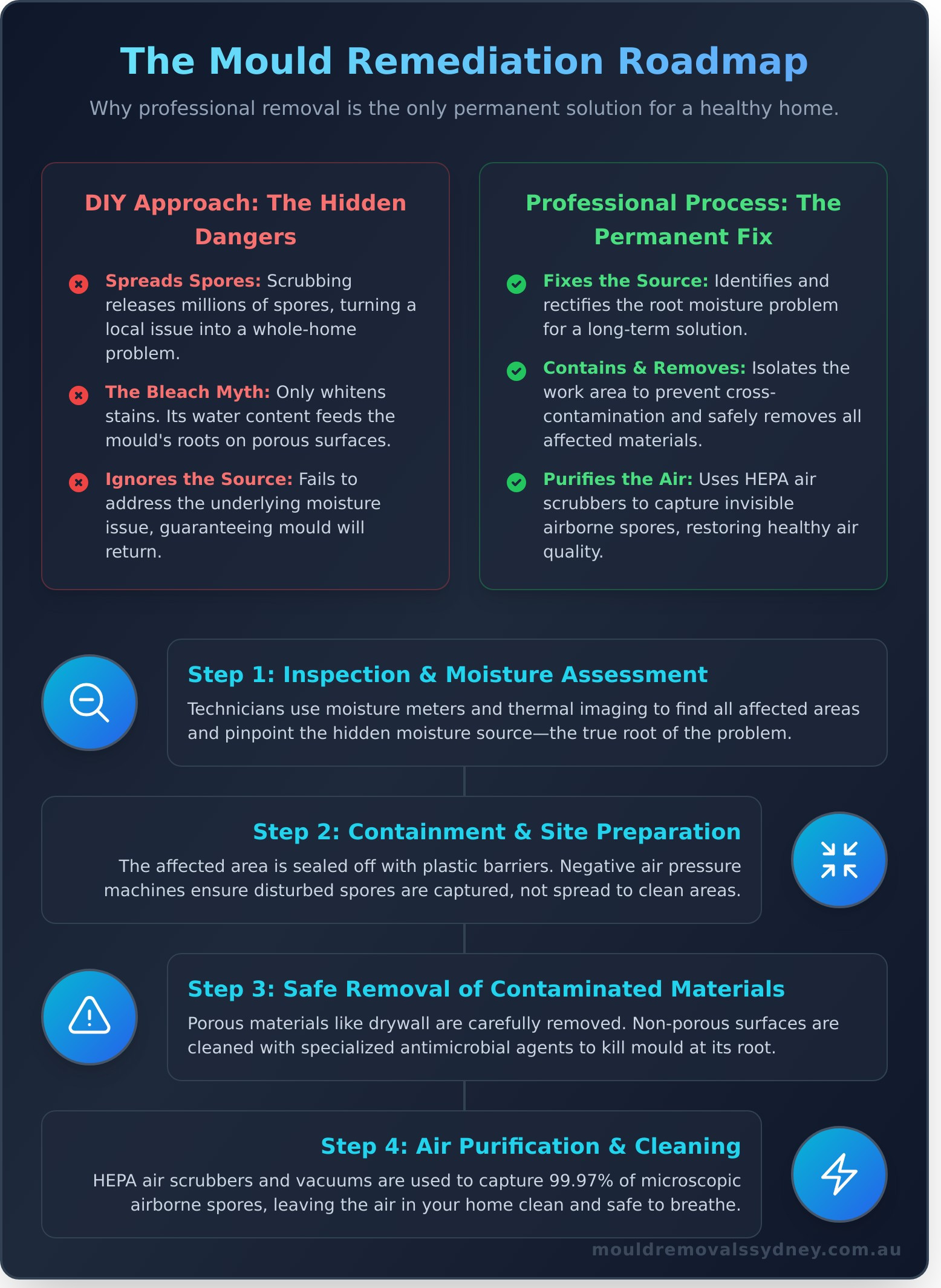 Professional Mould Removal: A Complete Guide to a Healthy Home - Infographic