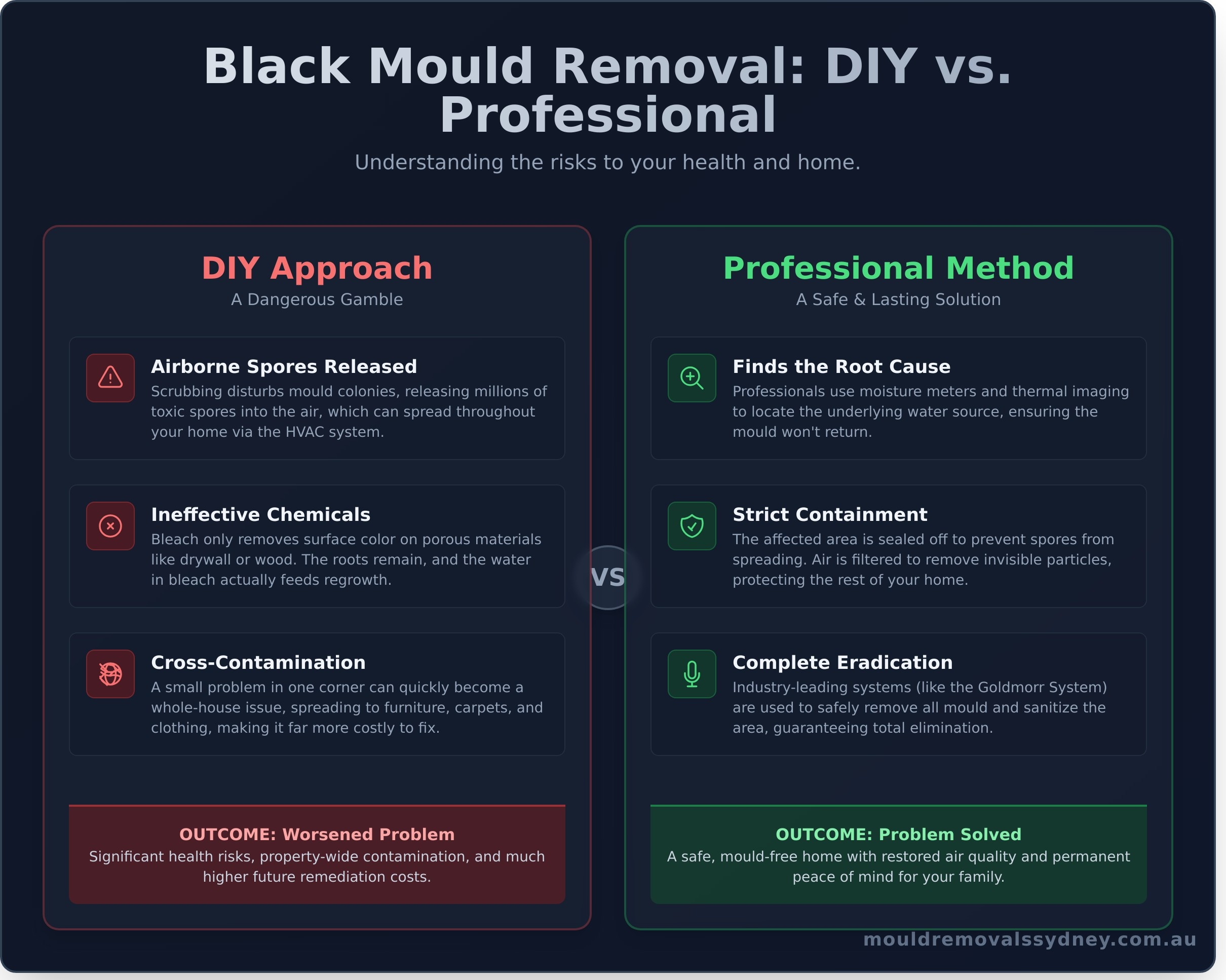 Safe Black Mould Removal: Why DIY is a Health Risk - Infographic