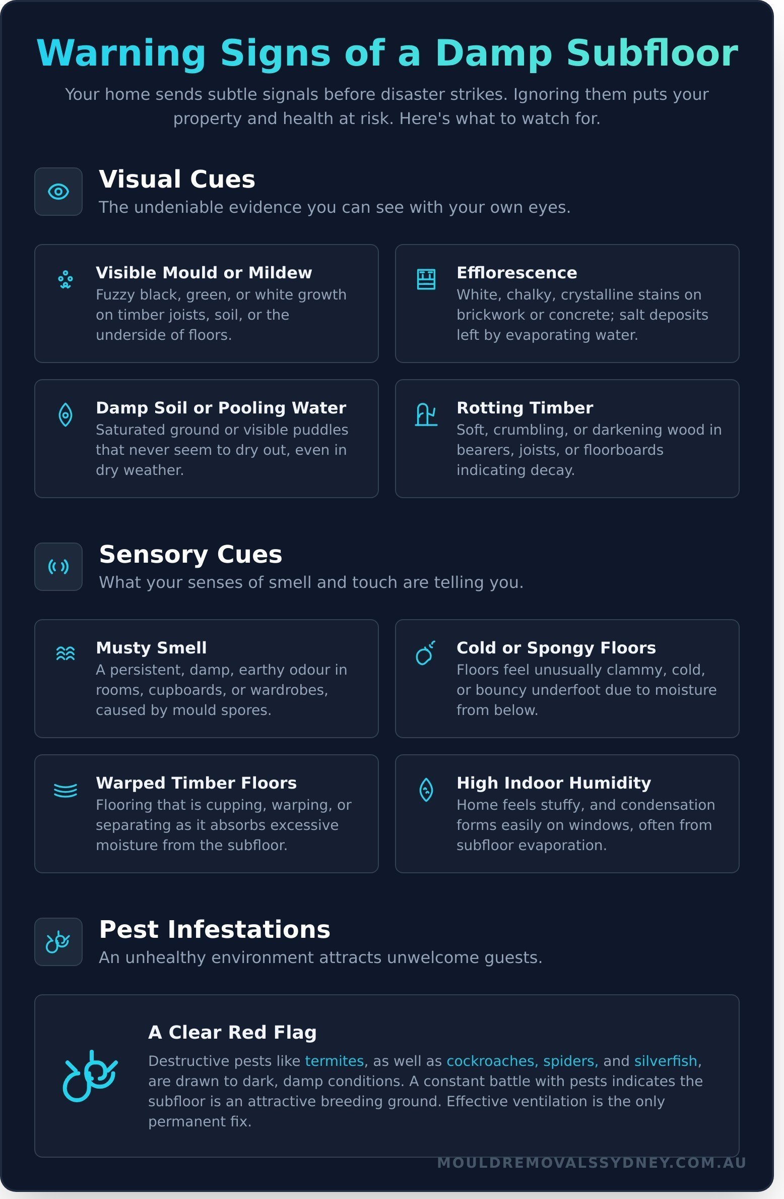 Subfloor Ventilation: The Ultimate Guide to a Dry & Healthy Home