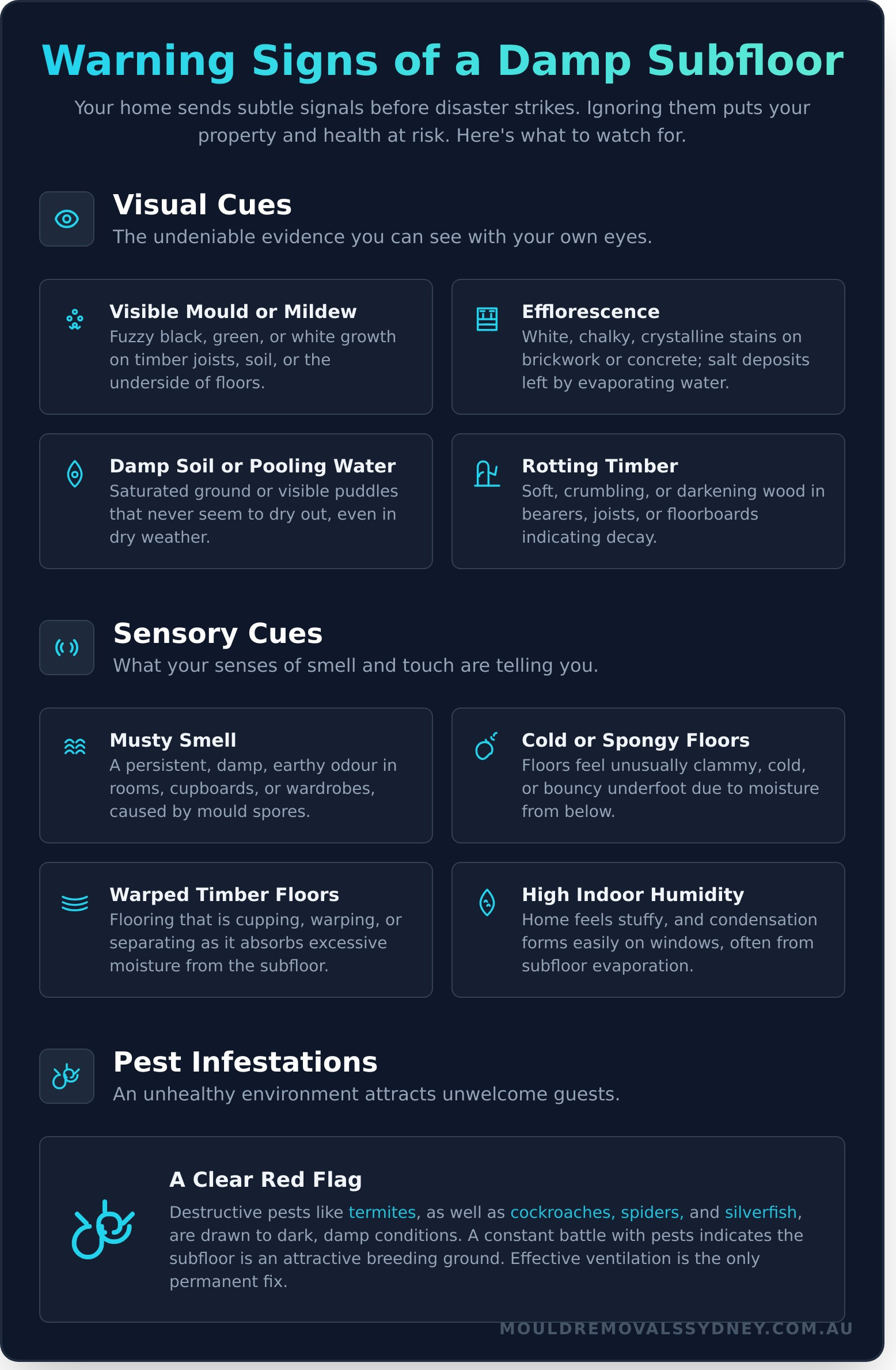 Subfloor Ventilation: The Ultimate Guide to a Dry & Healthy Home - Infographic