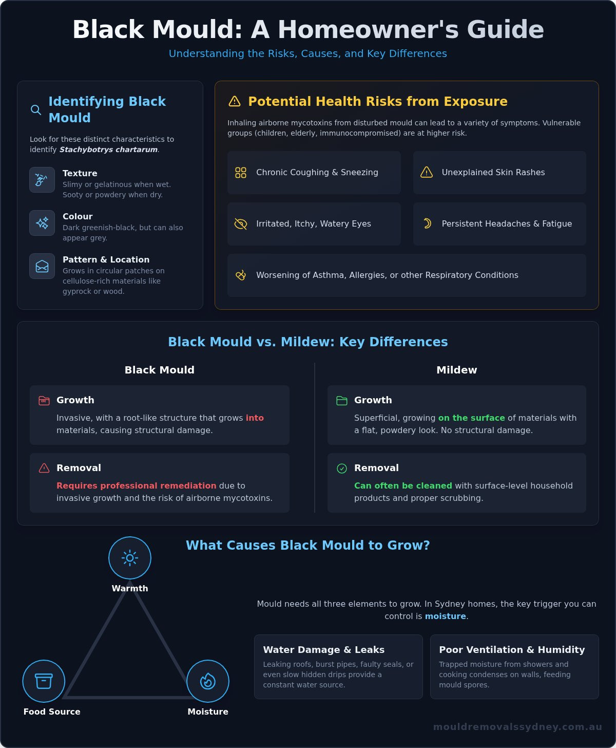 What Is Black Mould? A Complete Guide for Sydney Homeowners