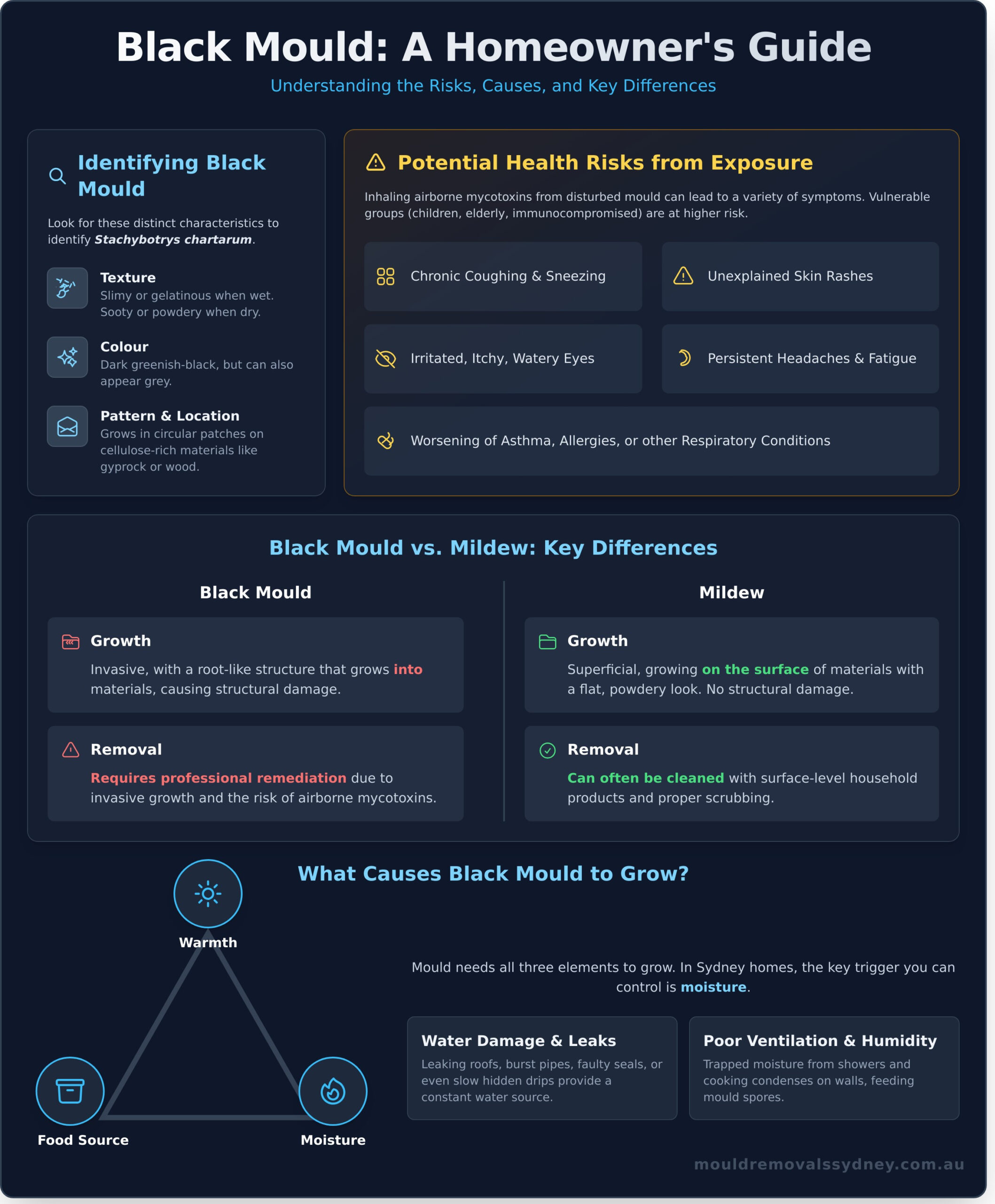 What Is Black Mould? A Complete Guide for Sydney Homeowners - Infographic