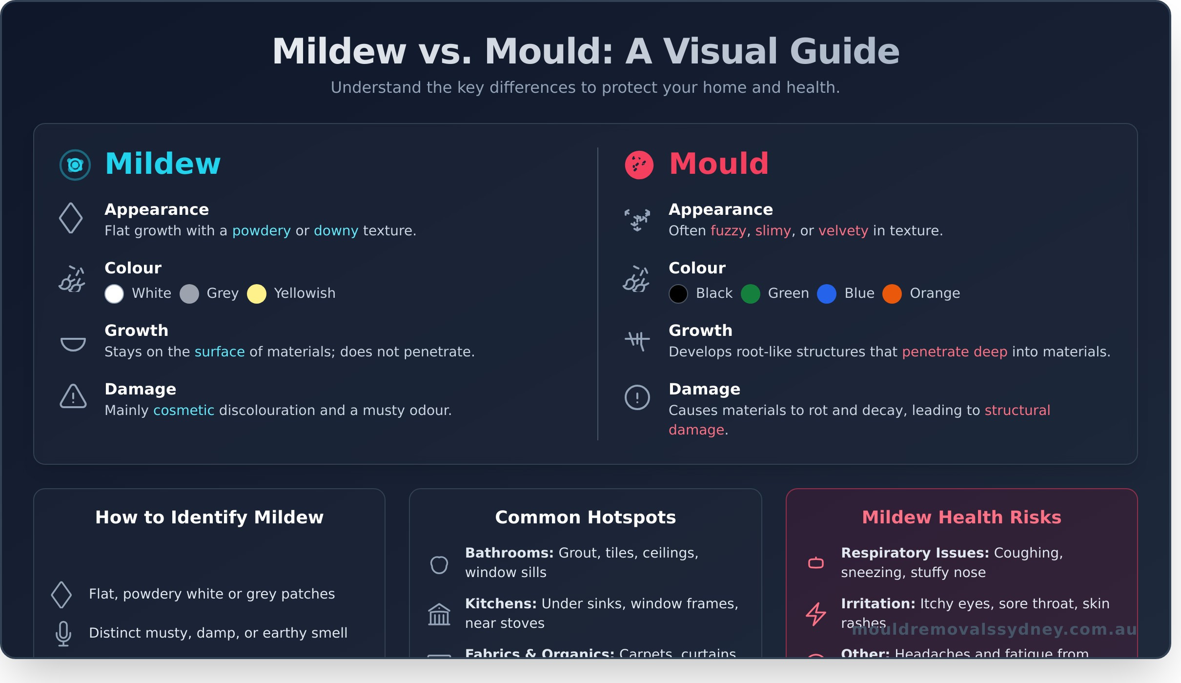 What Is Mildew? A Complete Guide to Identification, Removal, and Prevention - Infographic