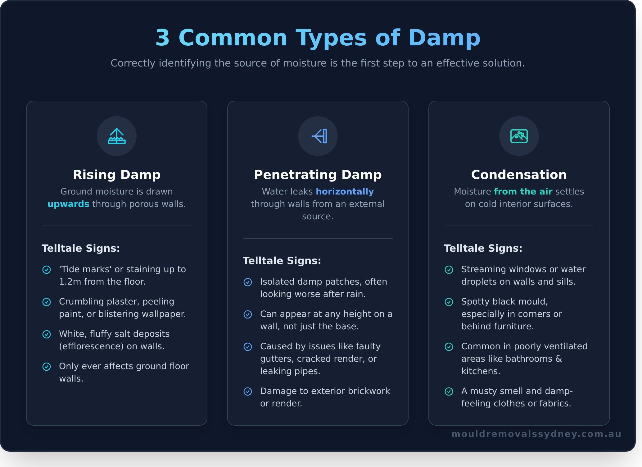 What Is Rising Damp? A Sydney Homeowner's Guide to Causes, Signs & Solutions
