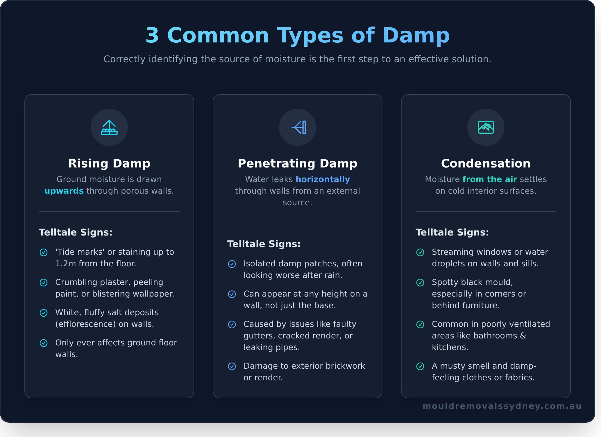 What Is Rising Damp? A Sydney Homeowner’s Guide to Causes, Signs & Solutions - Infographic