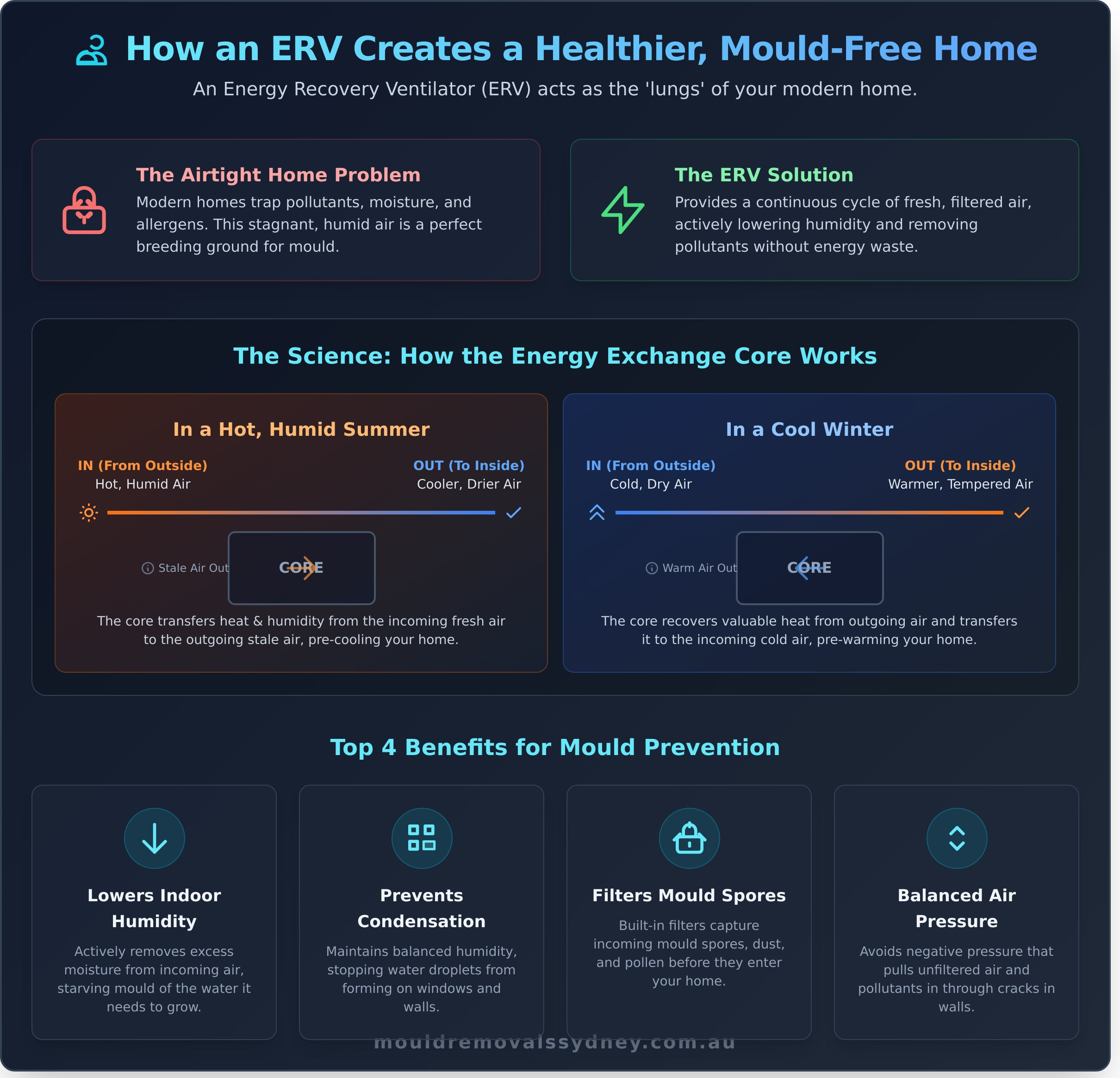 What Is an ERV (Energy Recovery Ventilator) & How It Fights Mould - Infographic