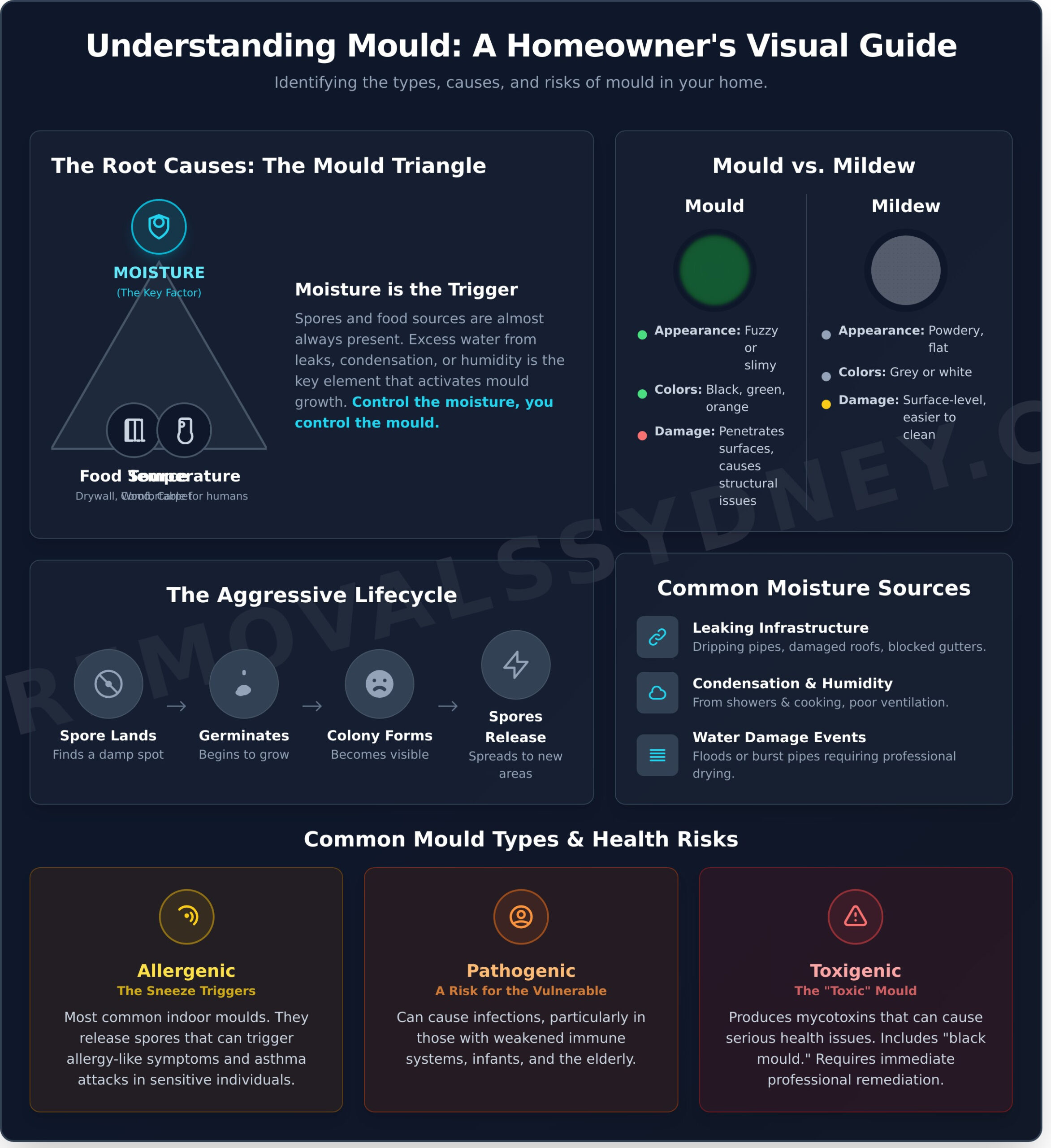 What is Mould? A Complete Guide for Australian Homeowners - Infographic
