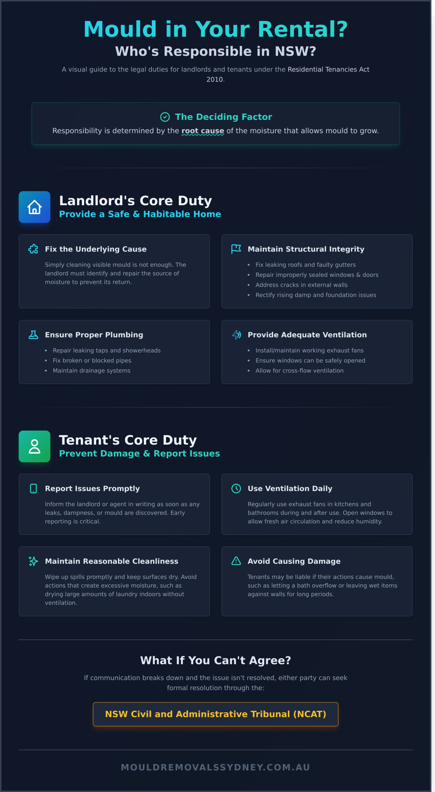 Landlord Responsibility for Mould NSW: A Complete Guide - Infographic