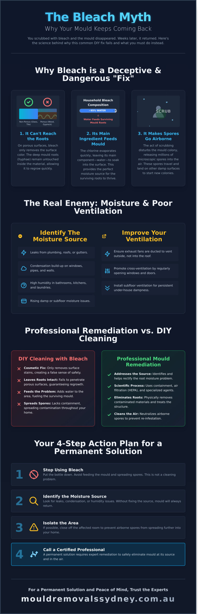 Mould Came Back After Cleaning with Bleach? Here’s the Real Reason Why - Infographic