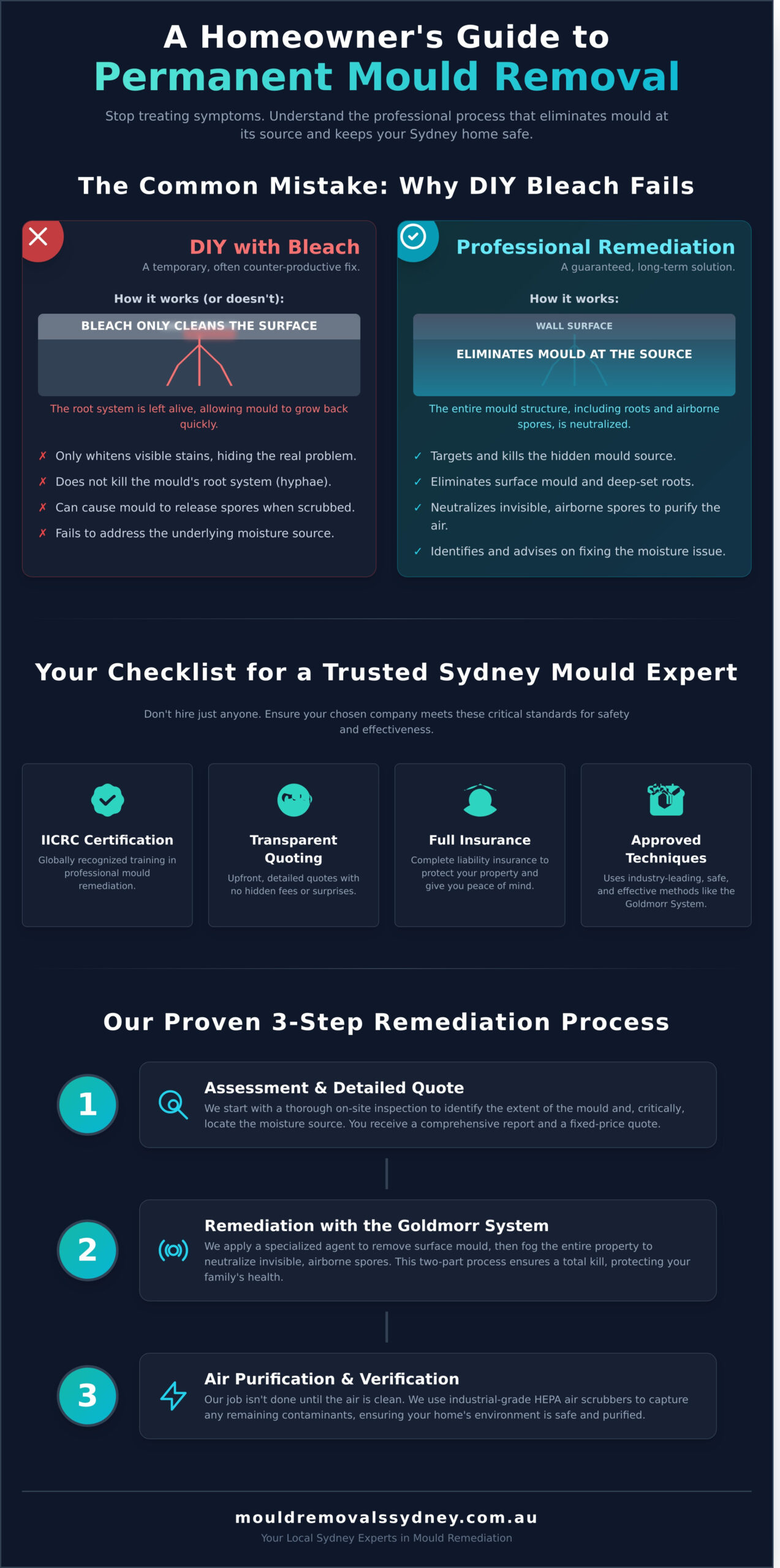 Mould Cleaning Services Near Me: Your Guide to Sydney’s Top Experts - Infographic