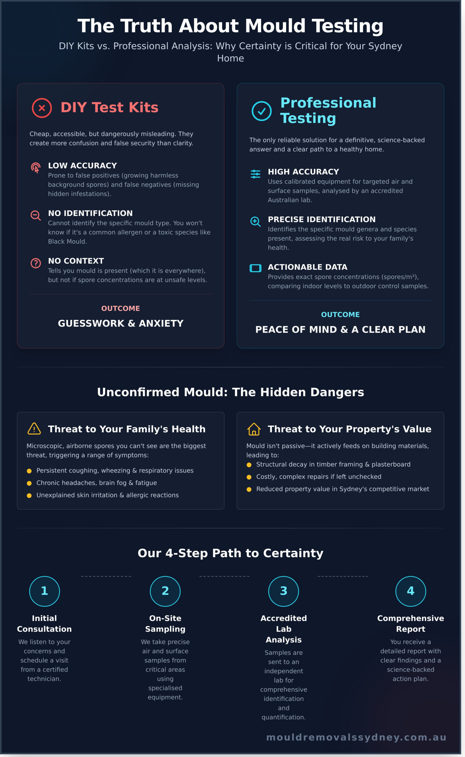 Peace of Mind Mould Testing: A Homeowner’s Guide to a Healthy Sydney Property - Infographic