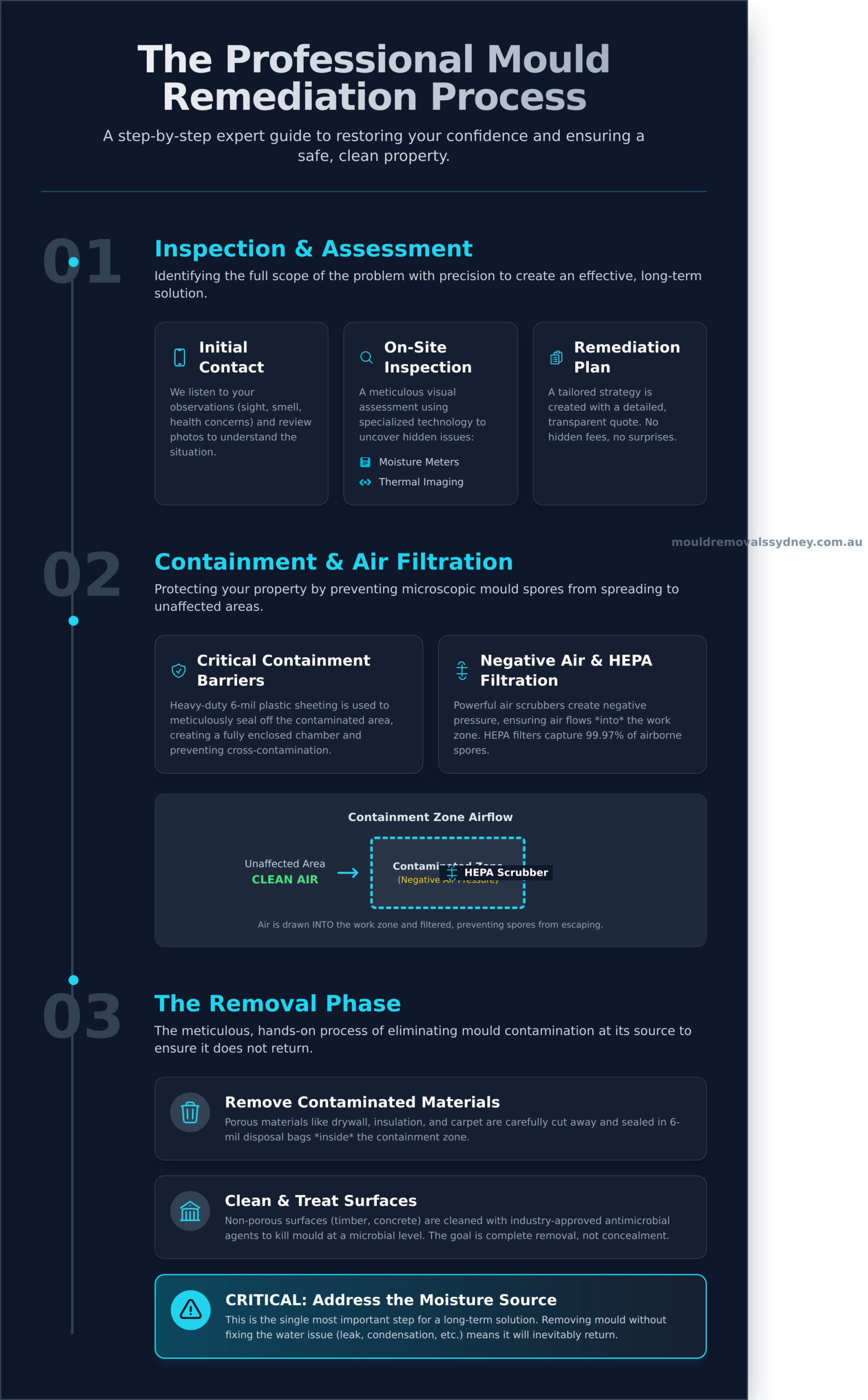 The Professional Mould Remediation Process: A Step-by-Step Guide - Infographic