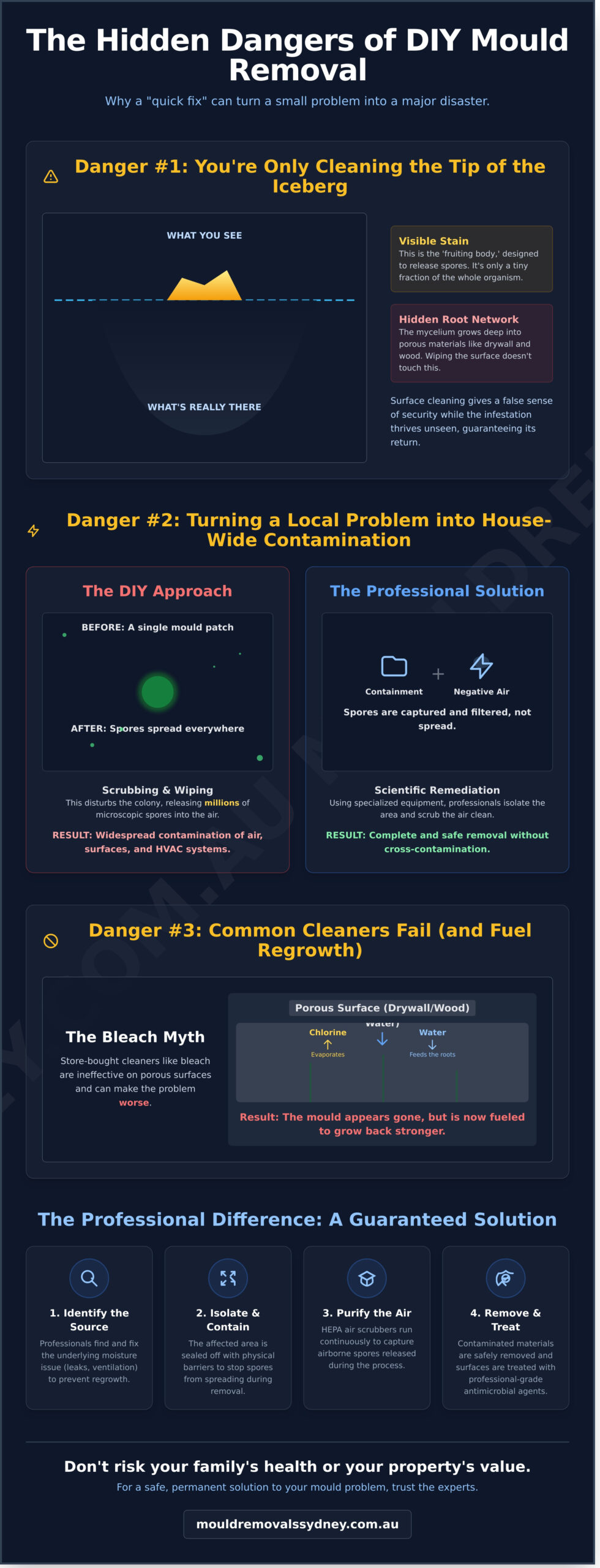Why DIY Mould Removal is a Bad Idea: 5 Hidden Dangers - Infographic