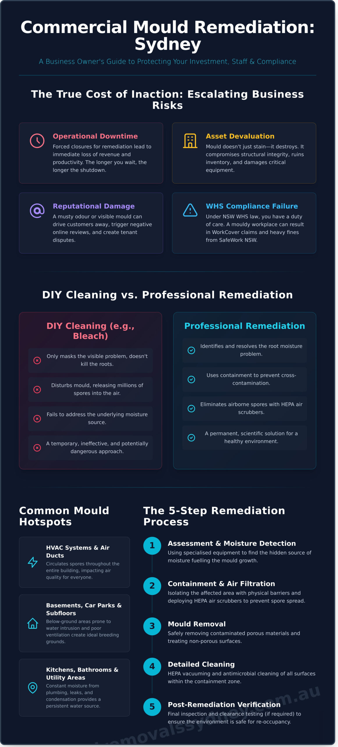 Commercial Mould Remediation Sydney: A 2026 Guide for Businesses - Infographic