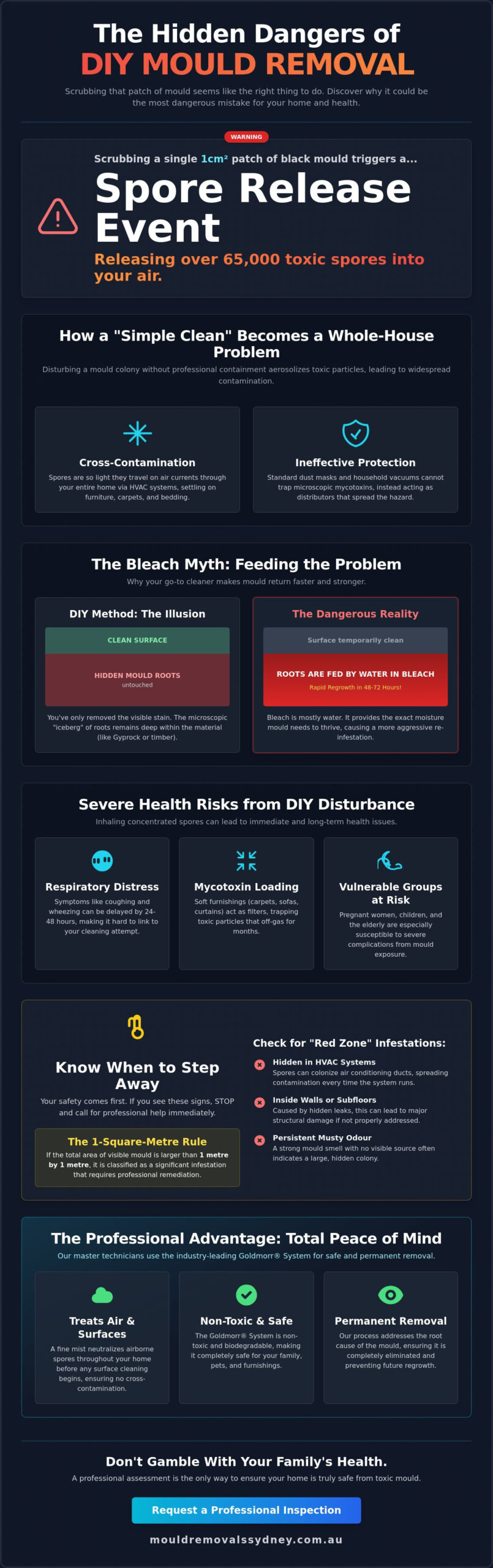 Risks of Cleaning Black Mould Yourself: Why DIY is a Health Hazard