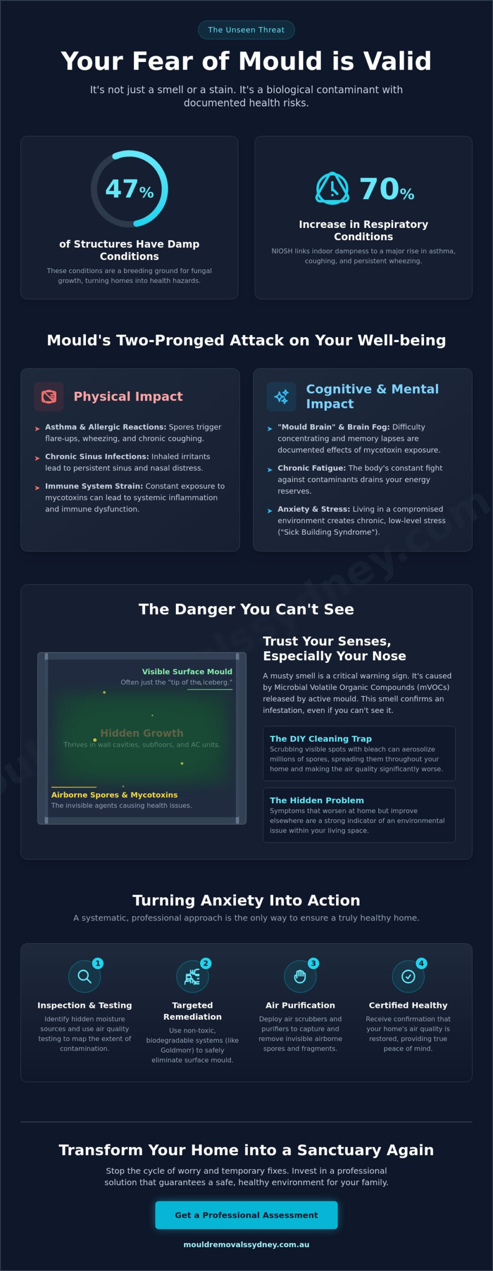 Mould health risks infographic illustrating physical and cognitive impacts and remediation steps.