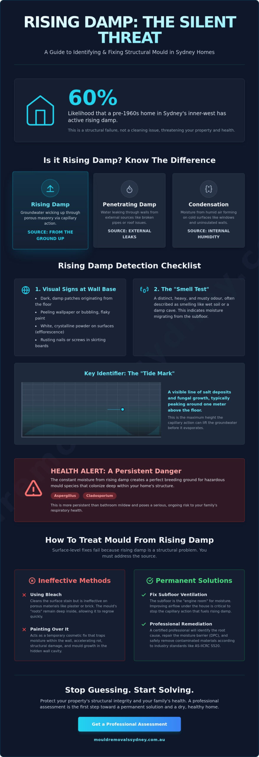 How to Treat Mould from Rising Damp: A Sydney Homeowner's Guide for 2026
