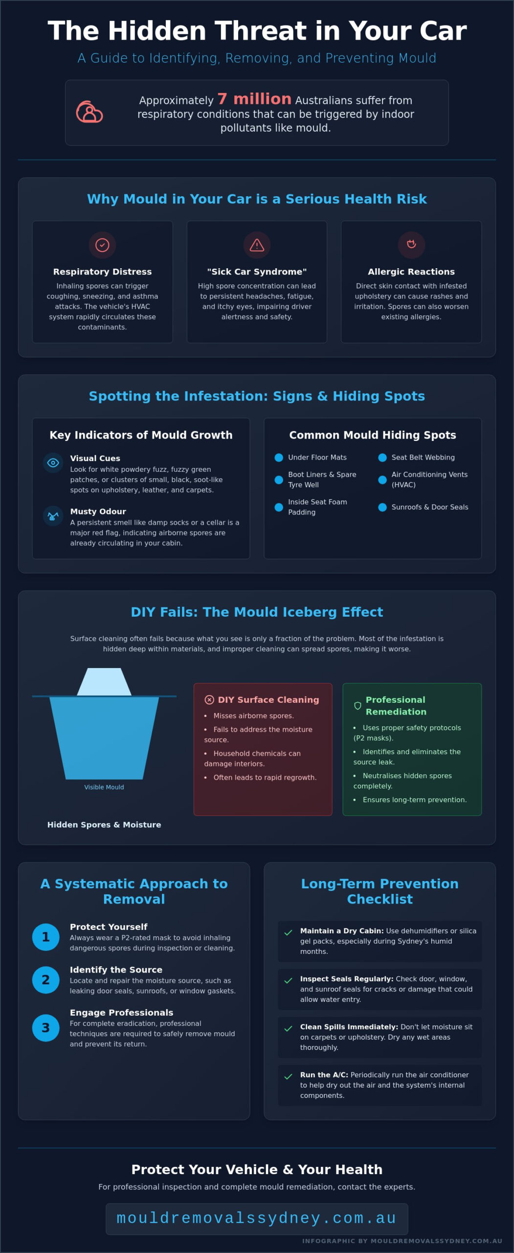 Mould in Your Car? Effective Removal & Prevention Tips