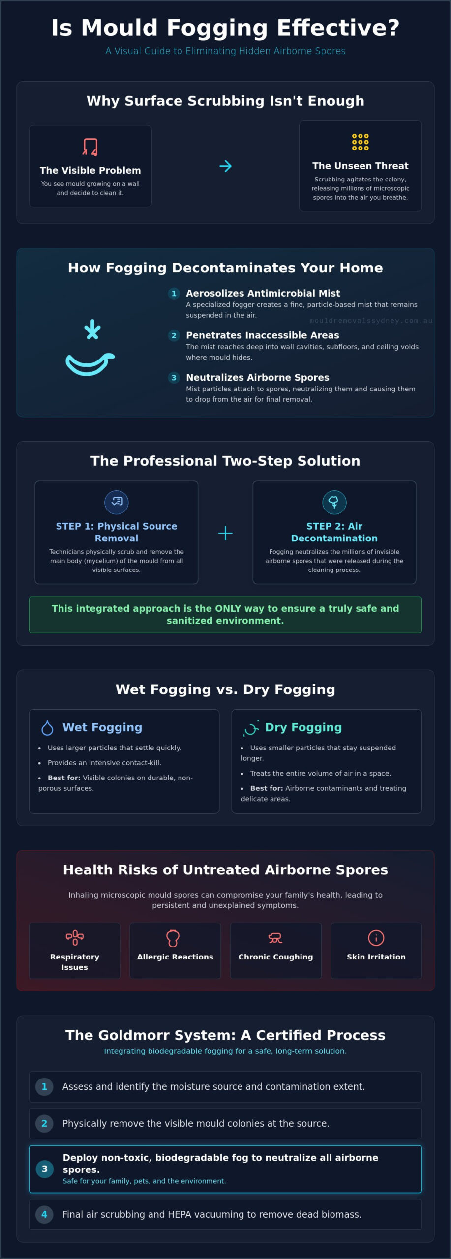 Is Mould Fogging Effective? What Homeowners Need to Know