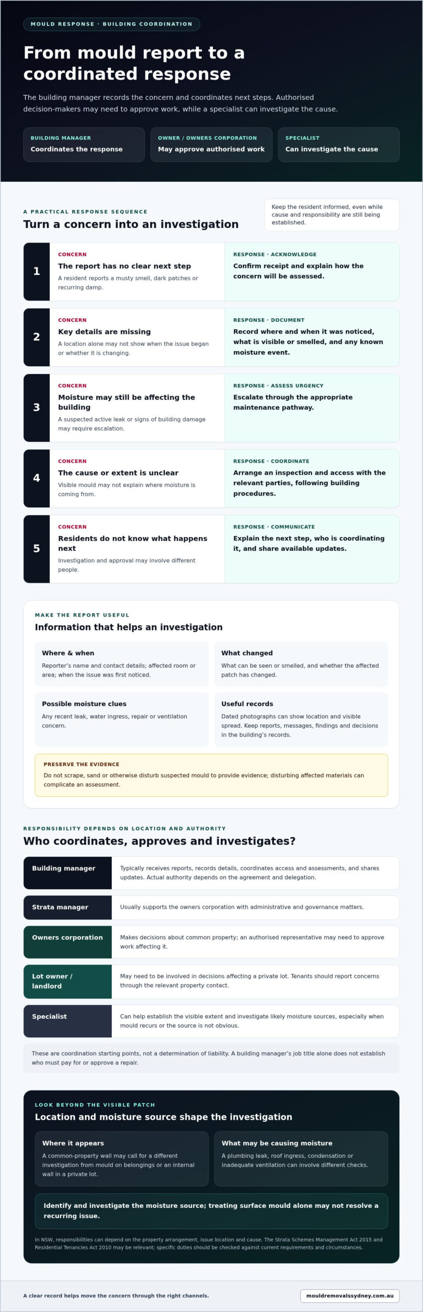 What Does a Building Manager Do About Mould? A Practical Guide